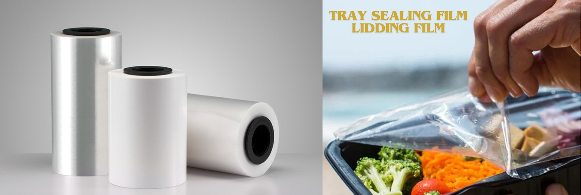 Krishdha Trading & Exim