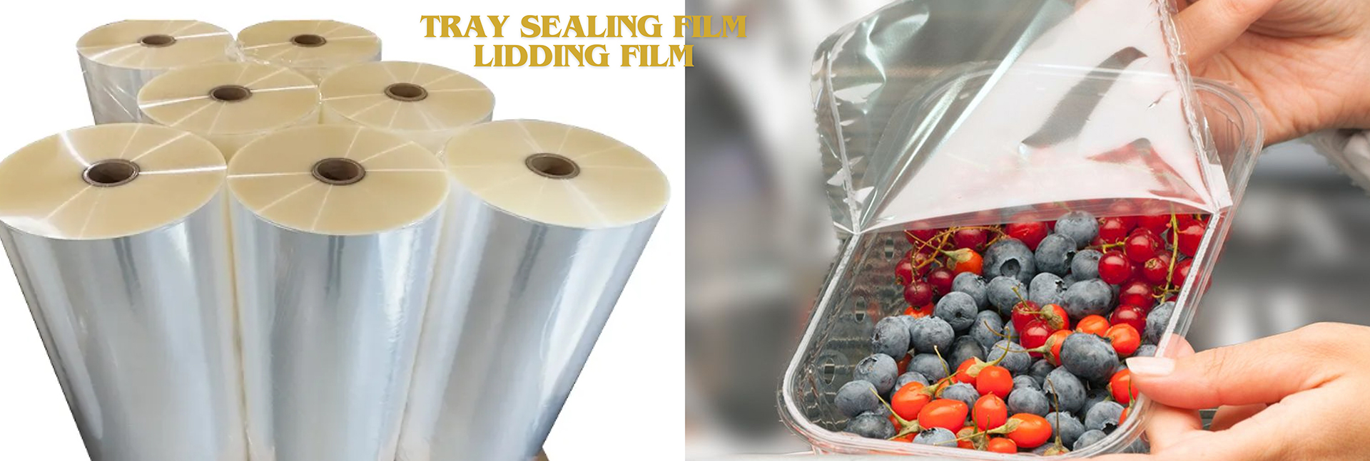 Krishdha Trading & Exim