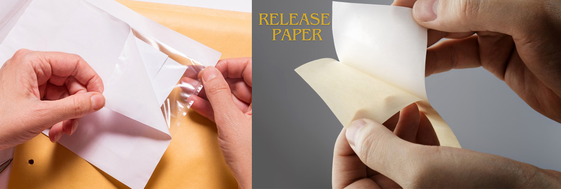 Krishdha Trading & Exim